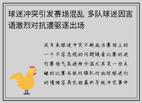 球迷冲突引发赛场混乱 多队球迷因言语激烈对抗遭驱逐出场